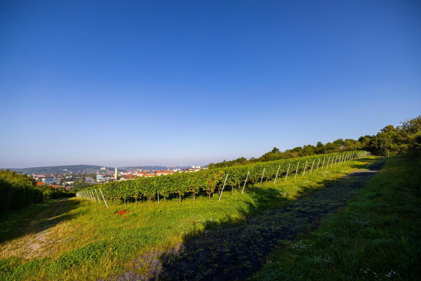 Nettes Kleines Mit Stellplatz Wurzburg